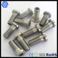 Hexagon Socket Thin Head Cap Screws DIN 6912